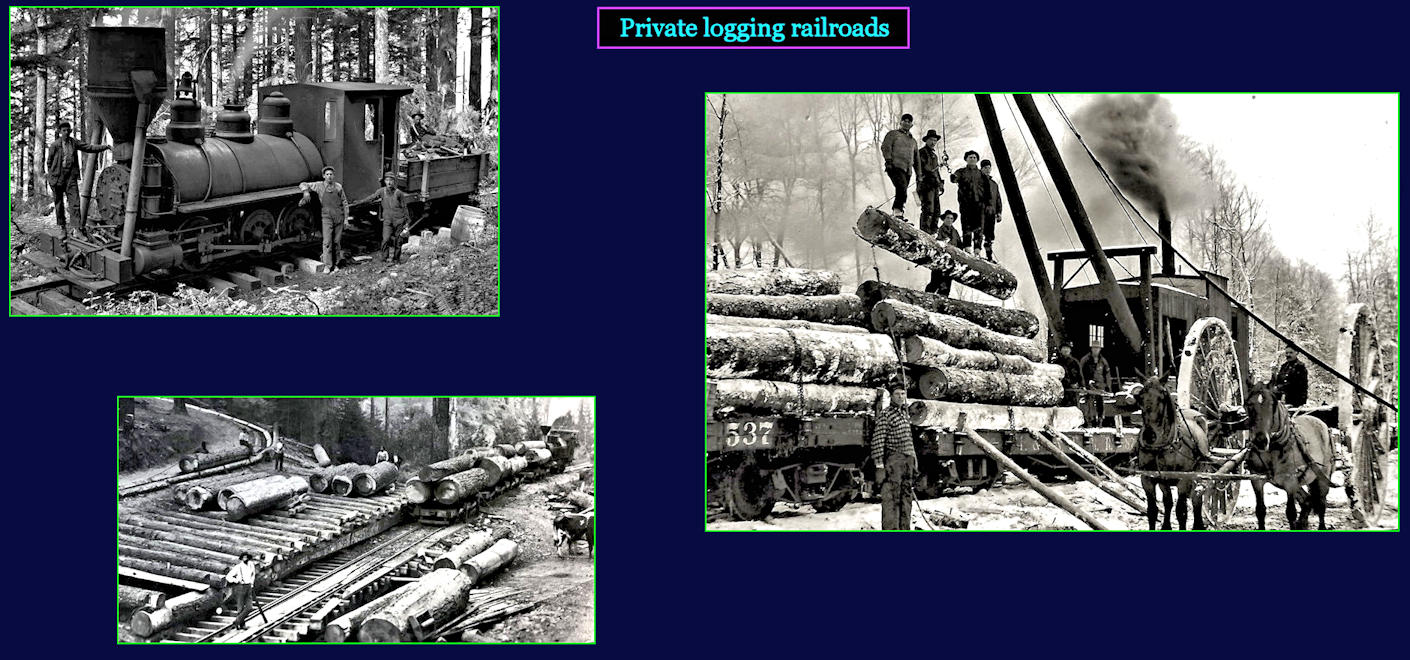 Hauling wood by rail, 1910